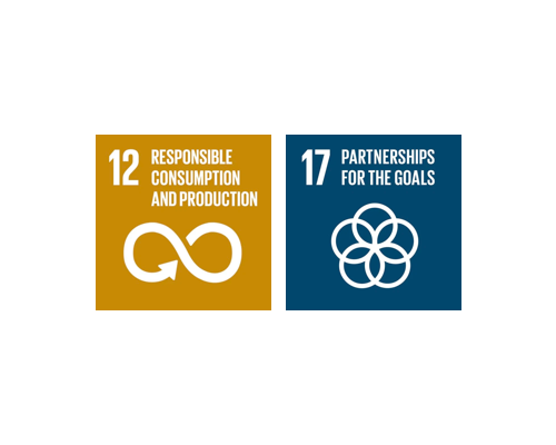 Globalne cele zrównoważonego rozwoju ONZ