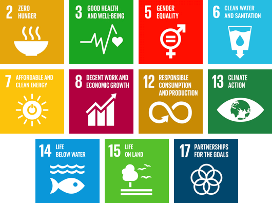 UN global goals of sustainable development diagram