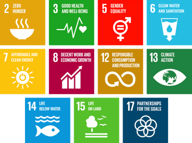Arla przyczynia się do realizacji Celów Zrównoważonego Rozwoju ONZ (SDGs)