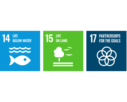 Globalne cele zrównoważonego rozwoju ONZ