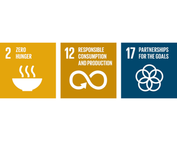 Globalne cele zrównoważonego rozwoju ONZ