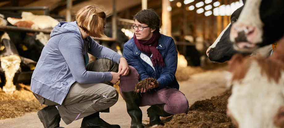 Big data to accelerate journey towards carbon net zero