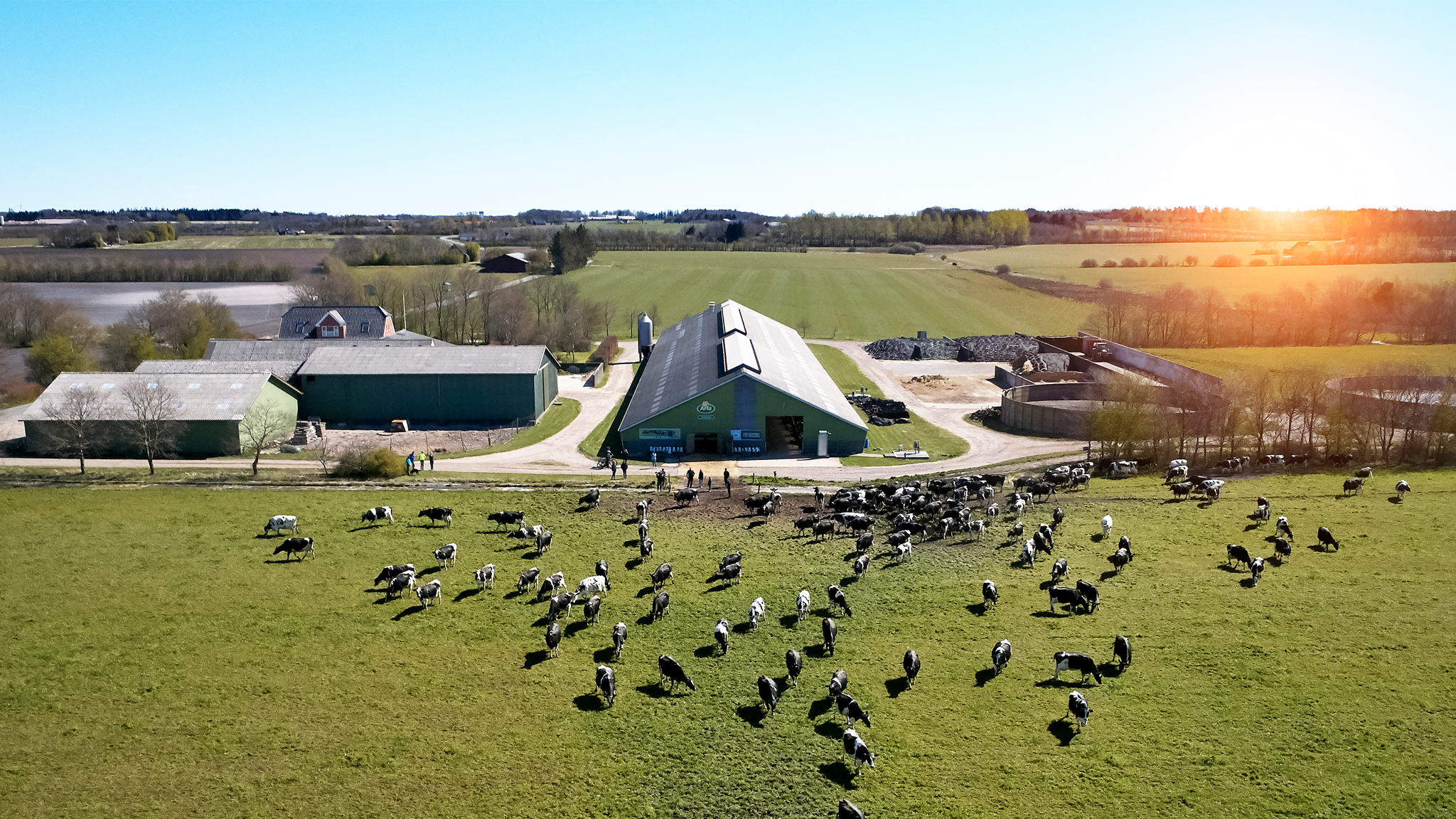 Czy można produkować mleko bez śladu węglowego?